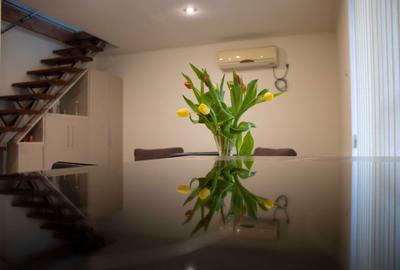 Casă cu 2 camere în Decebal - 8