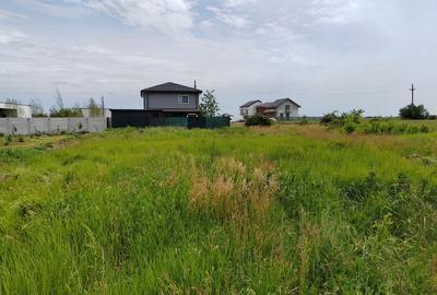 Teren Construcții intravilan de 538 mp, în Balotești - 2