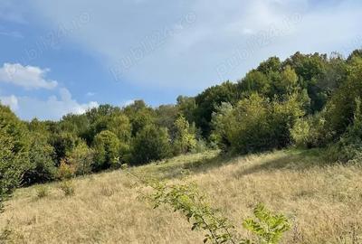 Teren de 2500 mp, în Manga - 2