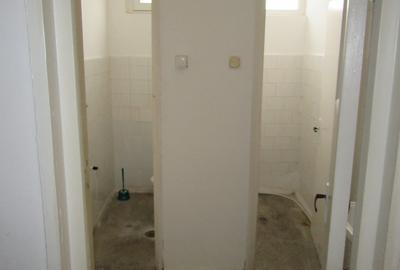 Inchiriere spatiu comercial Teiul Doamnei - 23
