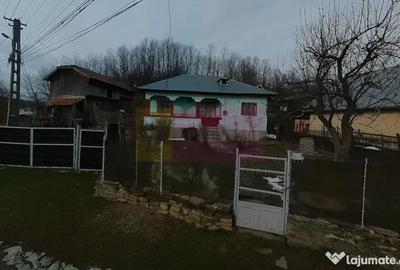 Casă cu 3 camere cu Teren 3410 Mp în Aluniș - 18