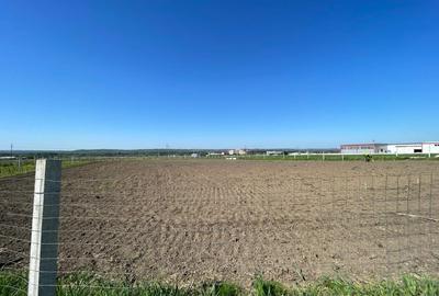 Teren intravilan agricol 6215mp cu utilitati in Racari, jud. Dolj - 4