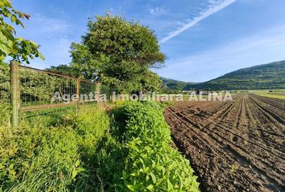 Teren de 4094 mp, în Șoimuș - 10