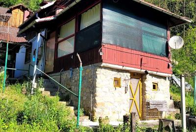 Casă cu 4 camere în Cosminele - 8