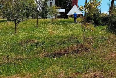 Spațiu comercial, în Peteritea - 1