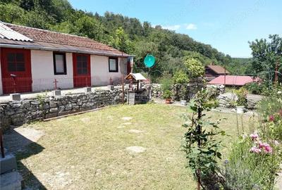 Casă cu Teren 1803 Mp în Anina - 15