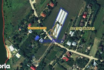 Teren de 2750 mp, în Tămădău Mare - 3