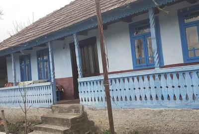 Casă cu 2 camere cu Teren 20000 Mp în Pribești - 1