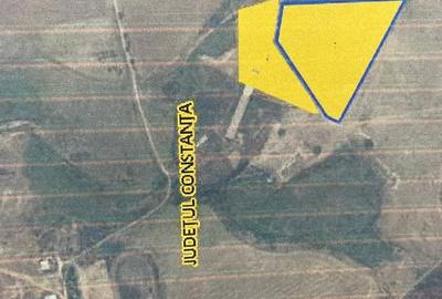 Teren de 25000 mp, în Mangalia