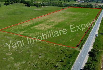 Teren de 69700 mp, în Tigveni - 4