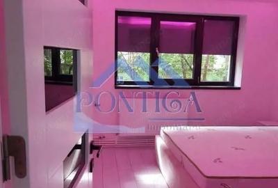Apartament cu 2 camere semidecomandat în City Park Mall - 3