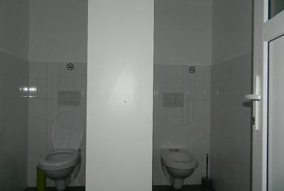 Spatiu de birouri, central, pe bulevardul Take Ionescu - 5