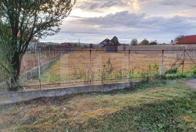 Teren de 1300 de mp, pe Prelungirea Panduri, cu dublu acces - 1