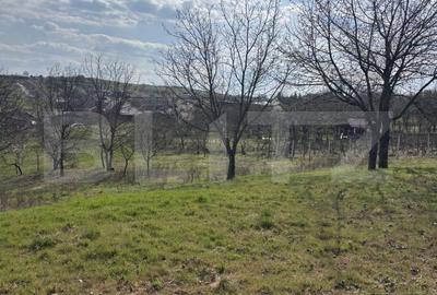 Spațiu comercial, în Central - 2