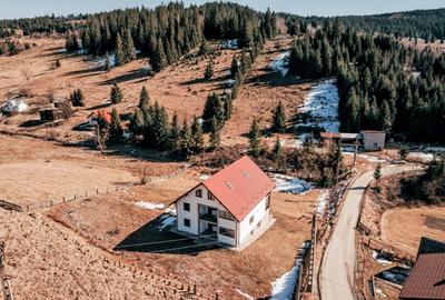 Casă individuală cu 5 camere cu Teren 3808 Mp în Mestecăniș - 16