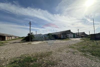 Spațiu comercial, de 4,000 mp, în Gugești - 11