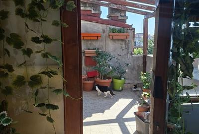 Garsonieră în Dacia - 3