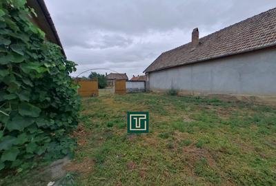 Casă tradițională cu teren generos în Secusigiu, județul Arad Casă tradițională cu teren generos în Secusigiu, județul Arad - 12