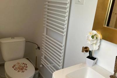 Aparament de inchiriat , centru vechi 100m - 2