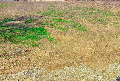 Teren de 1316 mp, în Smeura