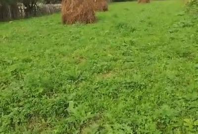 Teren în Ceahlău - 1