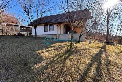 Royal Imobiliare- Vanzare Casa de Vacanta Teisani - 2