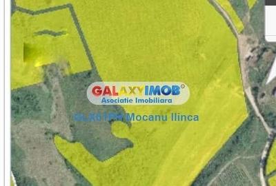 Vanzare teren 60000 mp, in Plopu, la 10 km de Ploiesti