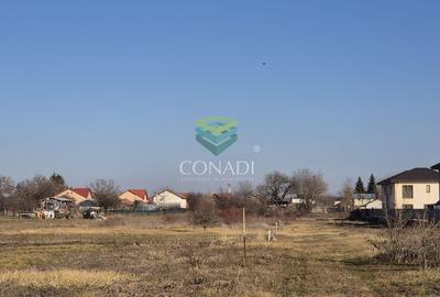 Teren Corbeanca - Tamasi - 1.163 mp - 8