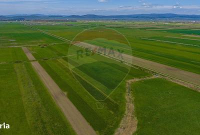 Spațiu comercial, în Lunca Mărcușului - 15