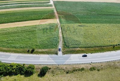 Teren 3,500mp Ilisesti / Strada Principala - 5