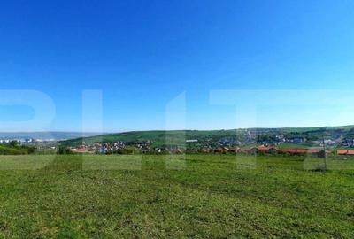 Teren 650 mp, PUZ in lucru, zona de case, zona Borhanci - 1