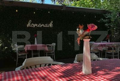 Spațiu comercial, de 240 mp, în Elisabetin
