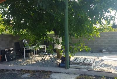 Casa autonoma energetic la 10min de molul din Arad - 2