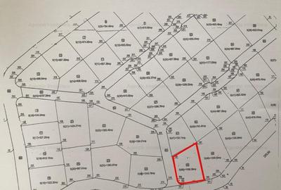 Terenul ideal 1058 mp - Lac Darvari / Fundulea - 6