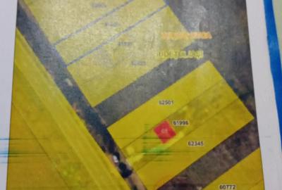 Teren de 1000 mp, în Schitu Duca - 9