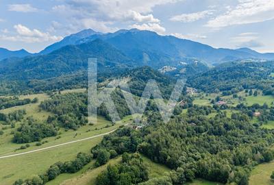 COMISION 0 %!!!!Teren cu priveliste remarcabila asupra orasului Rasnov - 11