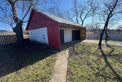 Casă cu 3 camere cu Teren 7000 Mp în Movilița - 8