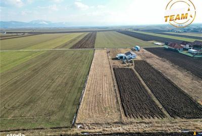 Spațiu comercial, în Chilieni - 2