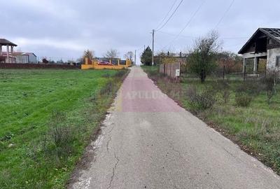 Teren Comana- strada Funieru - 2