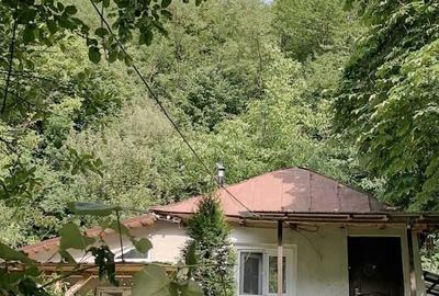 Vand casa de vacanta in Prahova Vand casa de vacanta in Prahova - 6