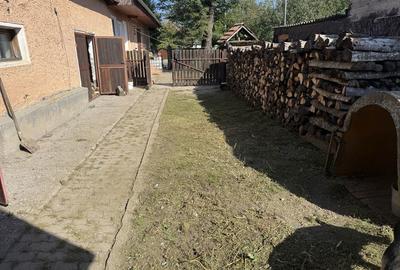 Casă cu 3 camere în Central