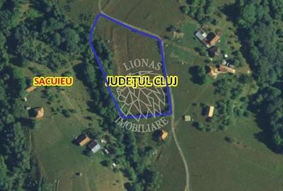Spațiu comercial, în Vișagu - 6