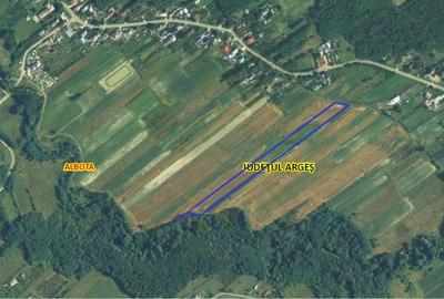 Teren 10414 mp in loc. Albota-Mares. COMISION 0% - 2