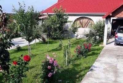 Casă cu 6 camere cu Teren 1997 Mp în Homocea - 2