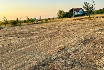 Spațiu comercial, în Petrești - 5