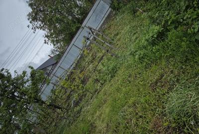 Casa cu anexe ?i padure - 10