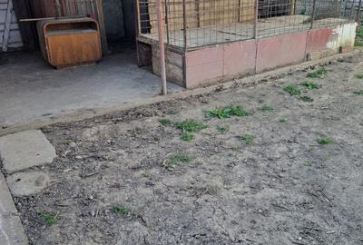 Casă cu 2 camere cu Teren 415 Mp în Oncea - 17