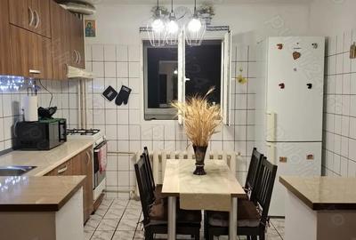 Inchiriere Apartament 2 Camere Renovat Pantelimon - 8