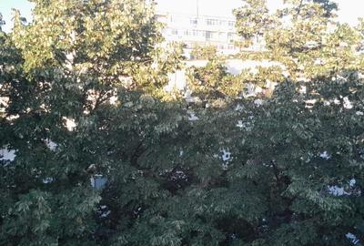 Apartament 2 camere, zona Malu Rosu - 8