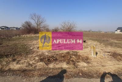 Teren Construcții intravilan de 1430 mp, în 1 Decembrie - 5